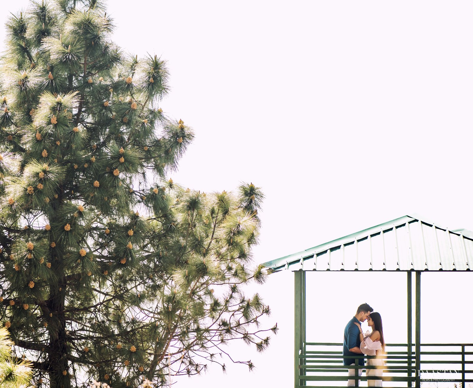 Couple at pine cottage during outdoor pre-wedding shoot, Indian couple photography
