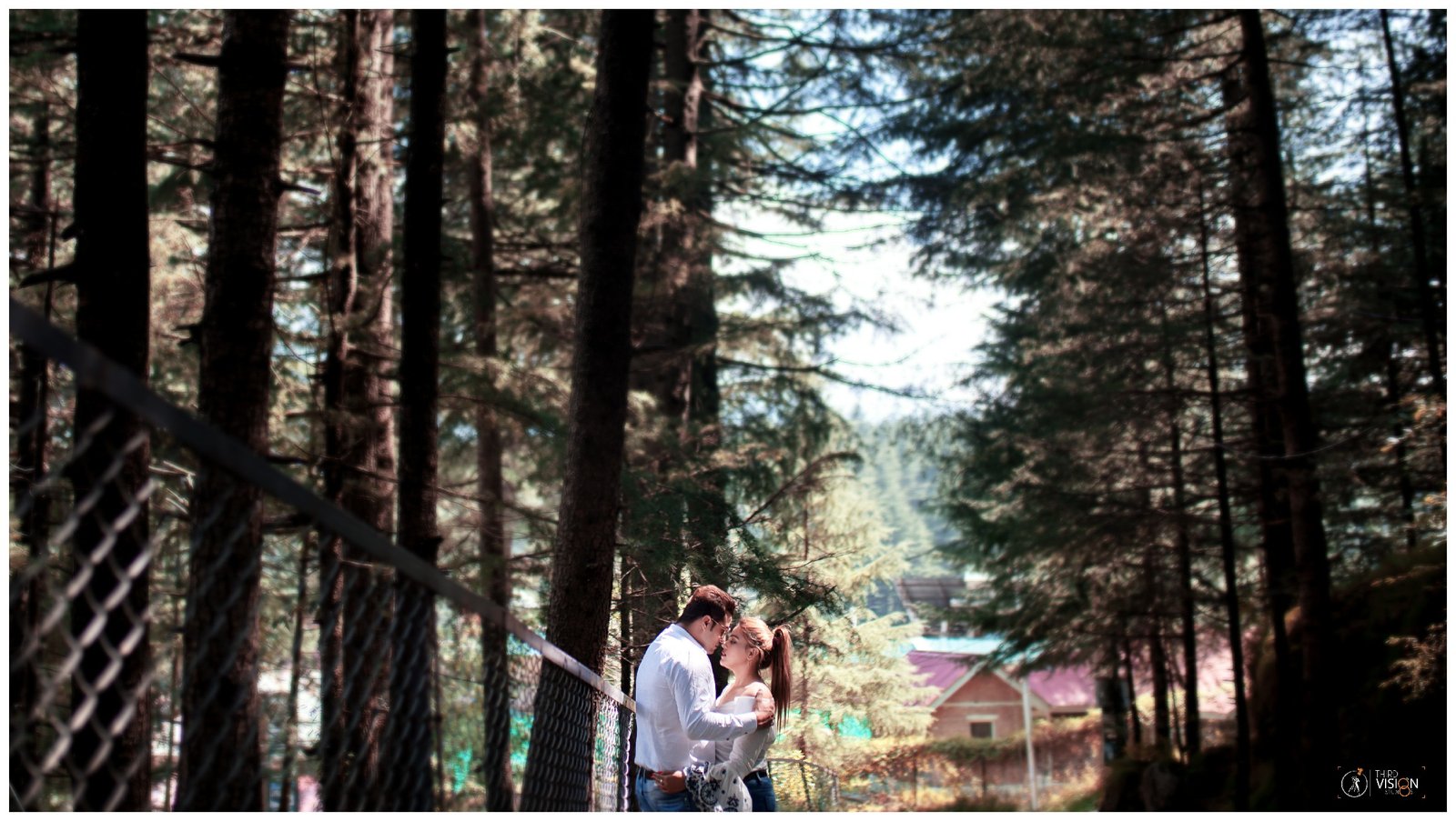 Couple in pine forest during outdoor pre-wedding shoot, Indian couple photography