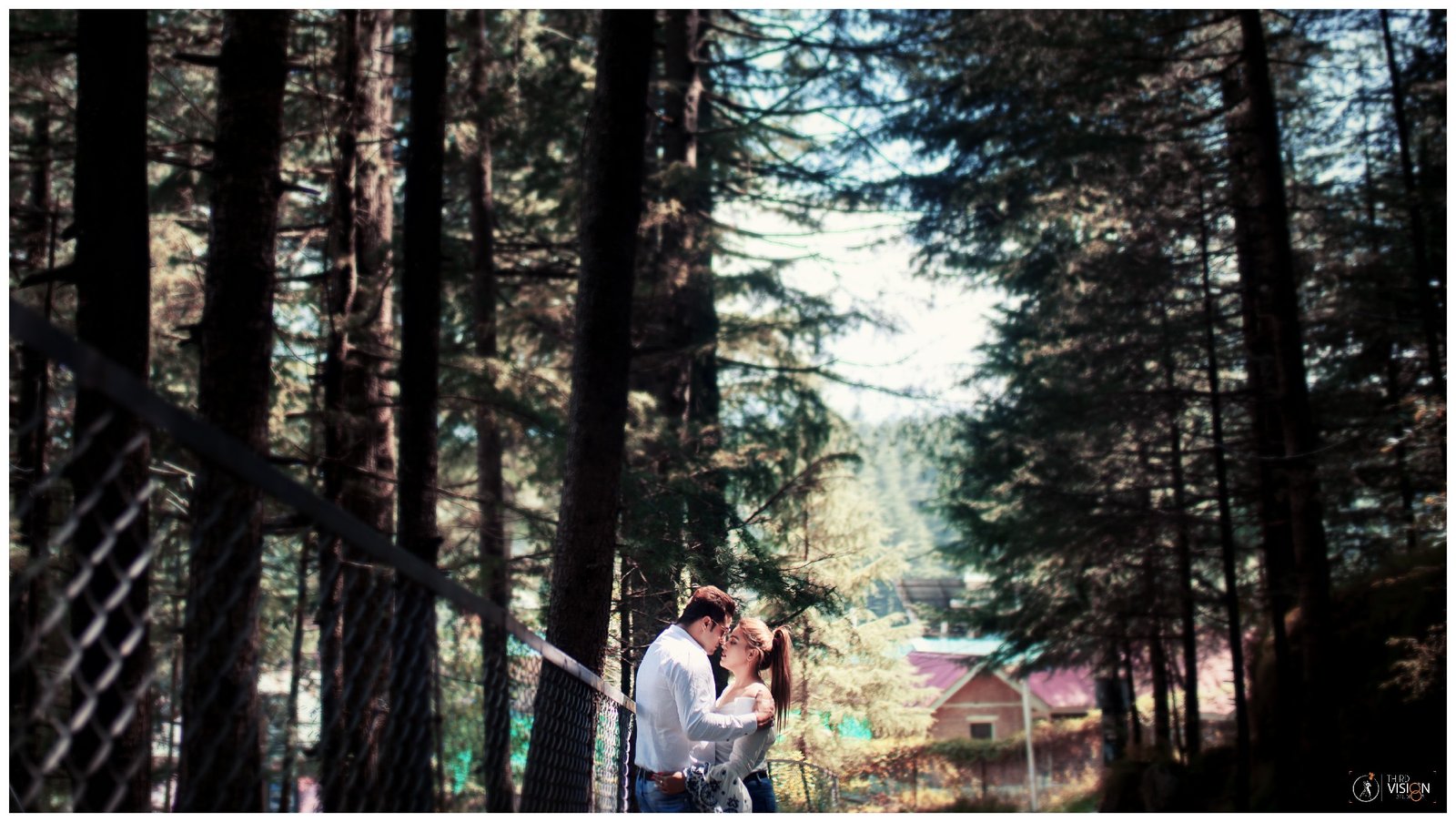 Couple Pre Wedding Pine Forest Second Outdoor India