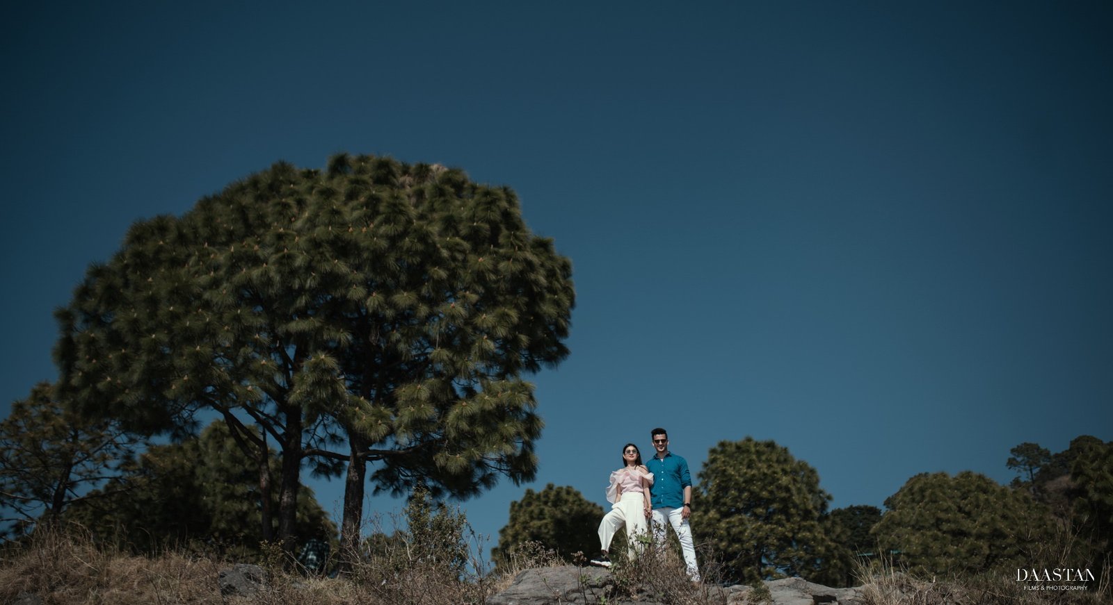 Couple in pine tree outdoor pre-wedding portrait, Indian nature couple photography