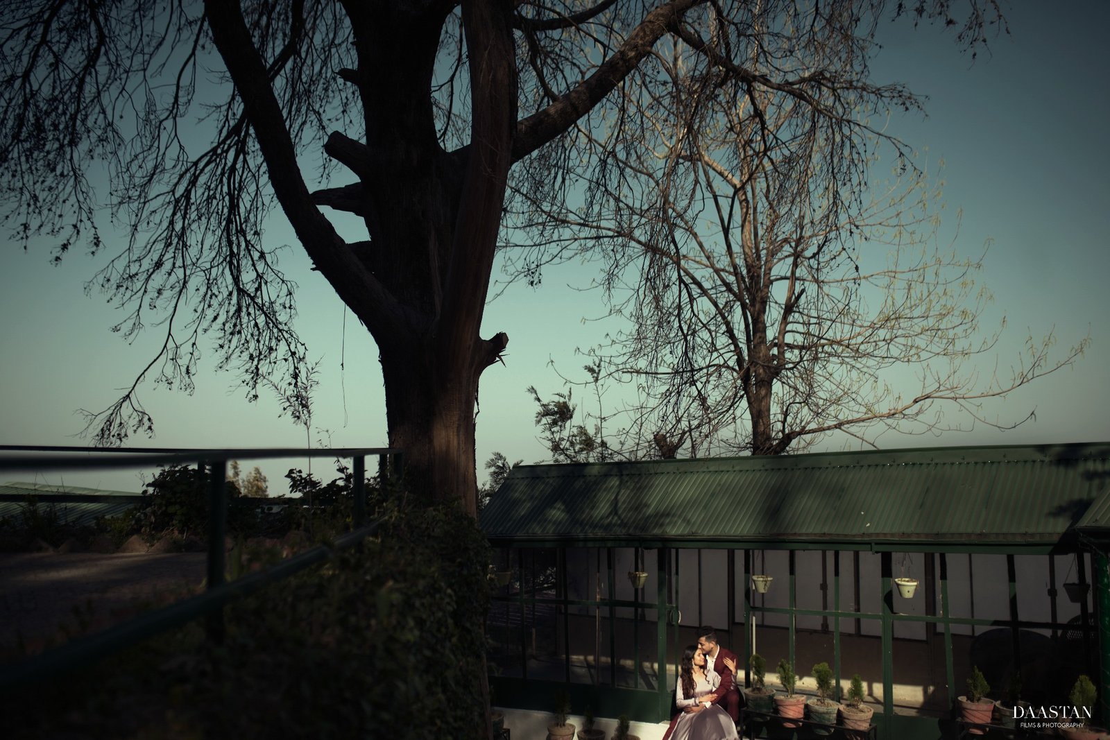 Couple under winter tree during outdoor pre-wedding shoot, Indian couple photography